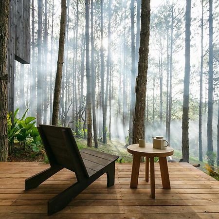 Mo Stay - Forest Resort Далат Экстерьер фото