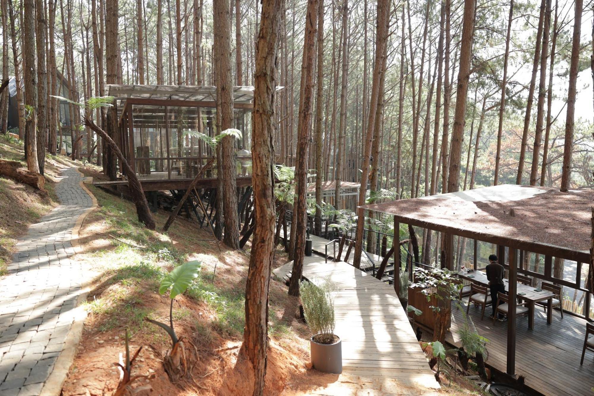 Mo Stay - Forest Resort Далат Экстерьер фото