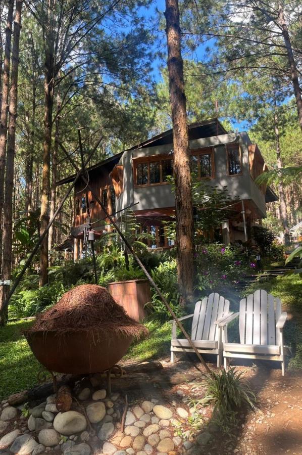 Mo Stay - Forest Resort Далат Экстерьер фото
