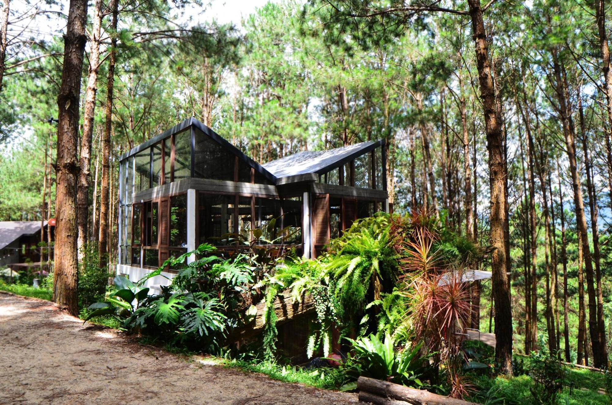 Mo Stay - Forest Resort Далат Экстерьер фото