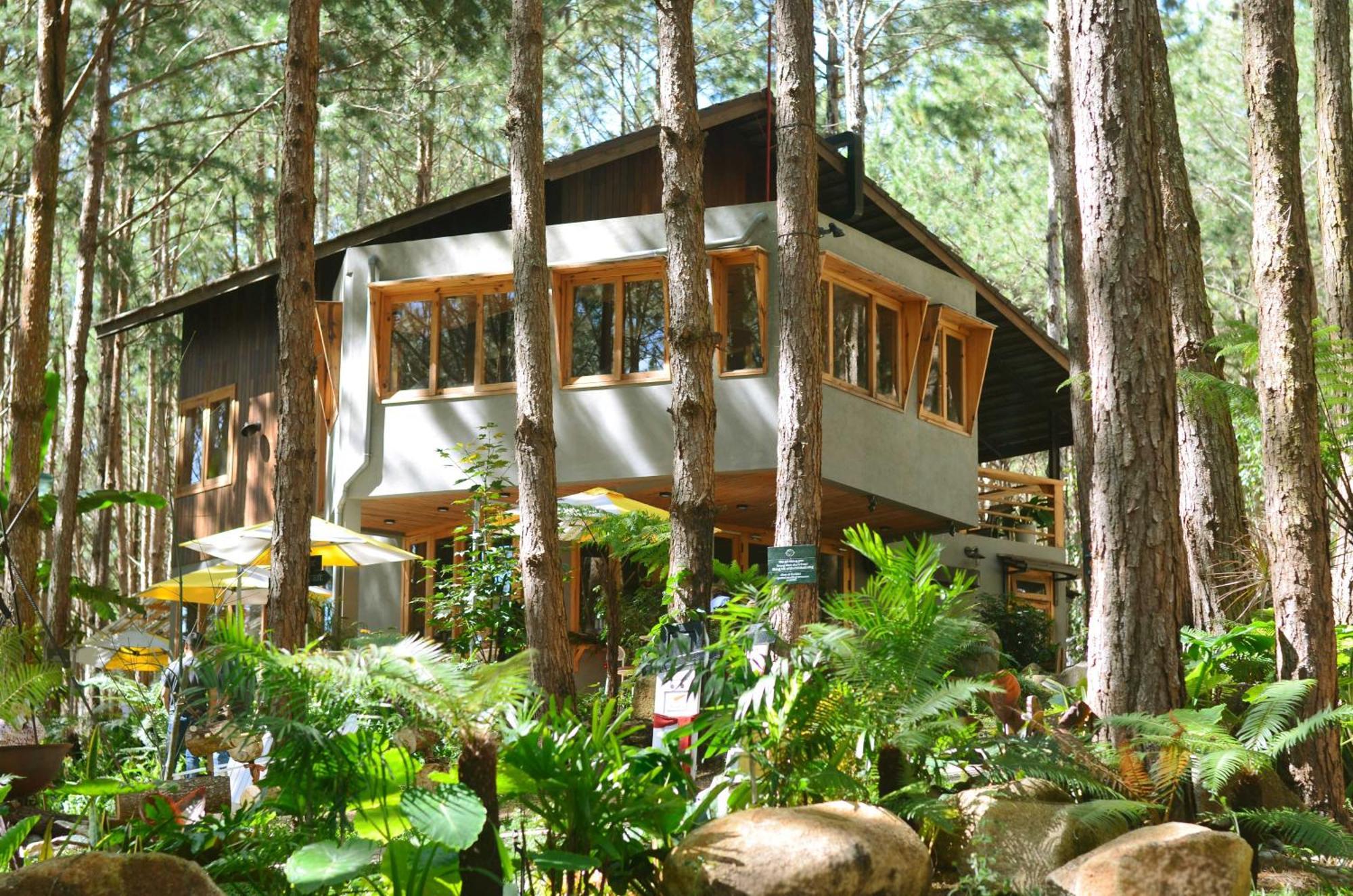 Mo Stay - Forest Resort Далат Экстерьер фото