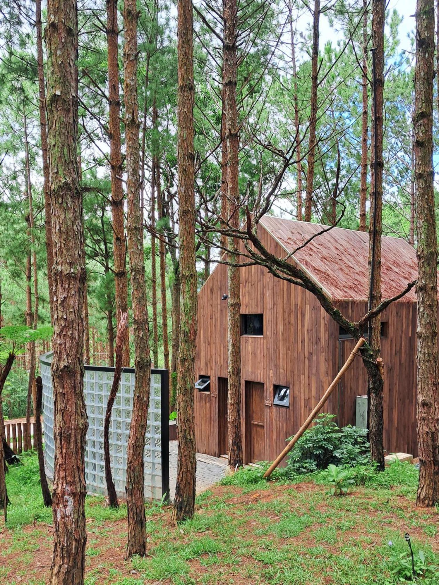 Mo Stay - Forest Resort Далат Экстерьер фото